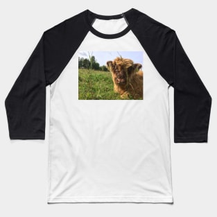 Scottish Highland Cattle Calf 1522 Baseball T-Shirt